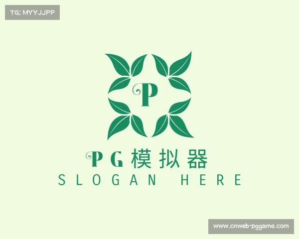 关于pg模拟器
